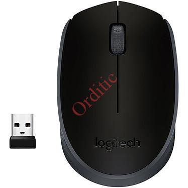 Souris Sans Fil Logitech M171