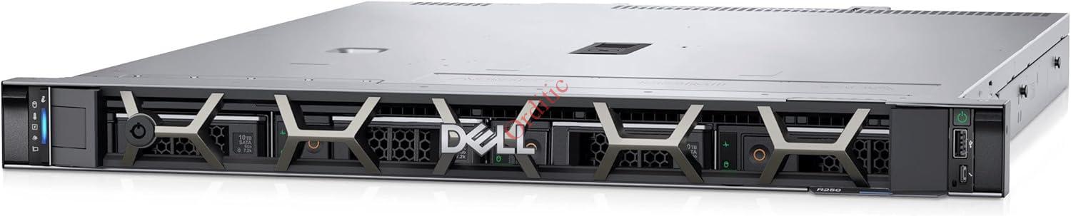 Dell EMC PowerEdge R250 Servidor Para Rack 1U Intel Xeon E-2314