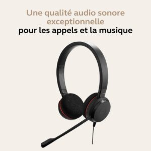 Jabra Evolve 20 MS Stereo Casque Avec fil Arceau Bureau/Centre d'appels USB Type-A Noir