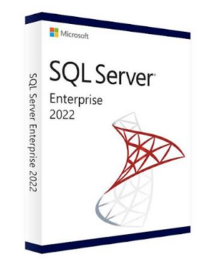 Microsoft SQL Server 2022 Enterprise (16 Core)