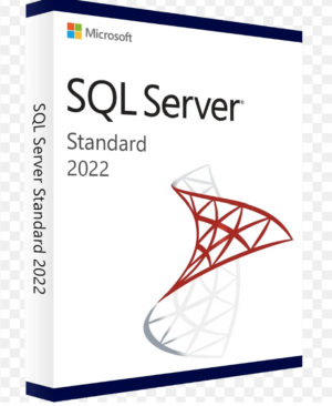 Microsoft SQL Server 2022 Standard